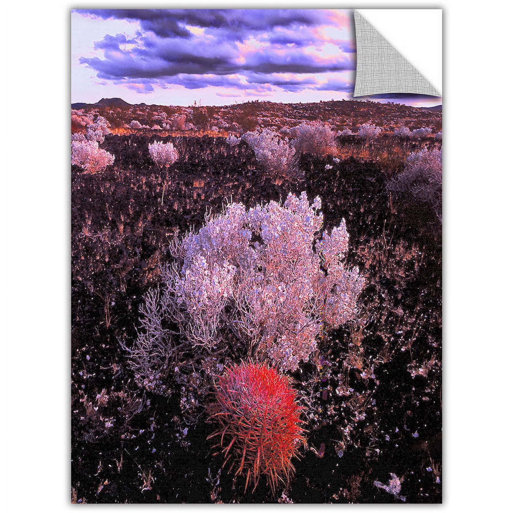 Dean Uhlinger Mojave Desert Dusk, Art Appeelz Removable Wall Art Graphic