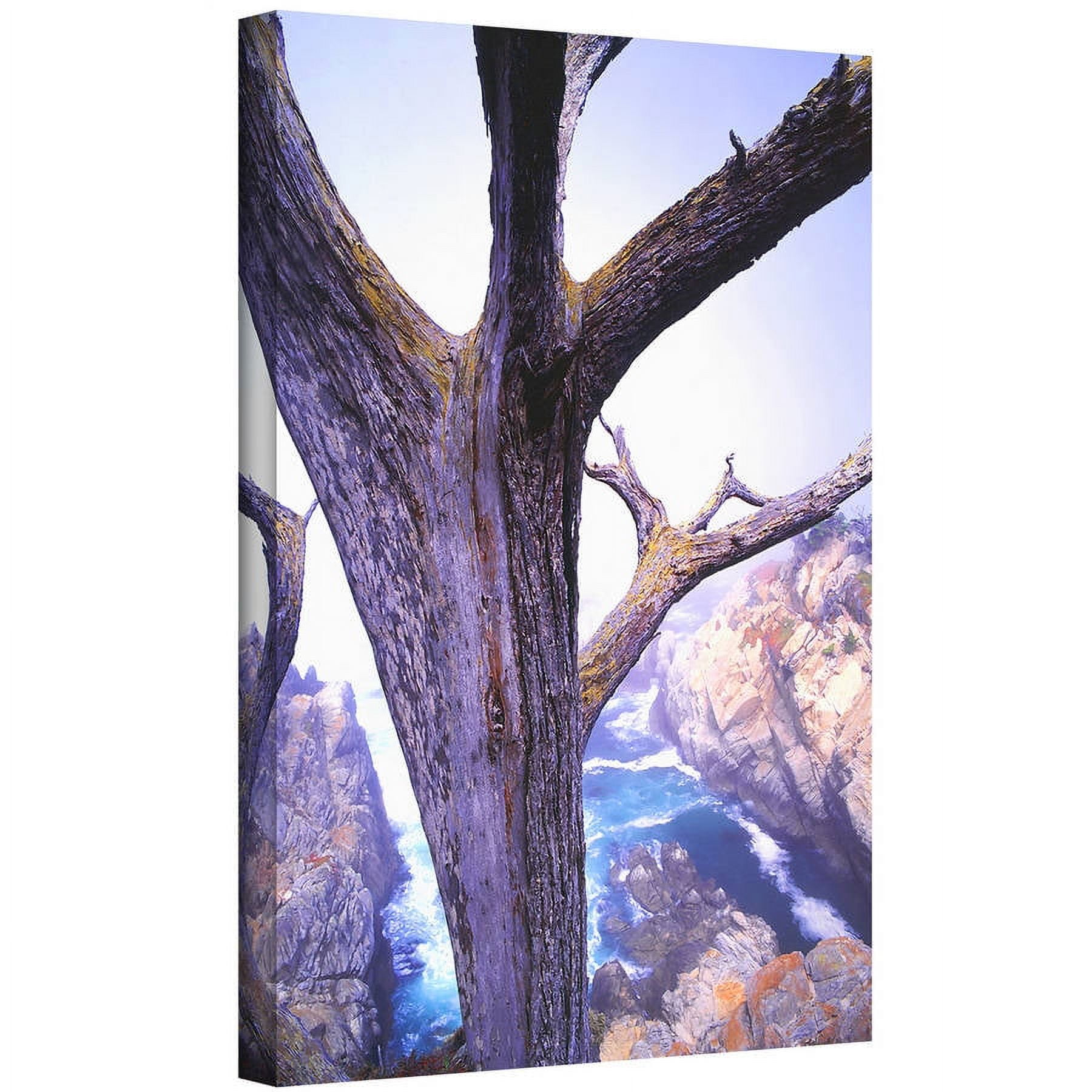 Dean Uhlinger "Morning Fog And Cypress" Gallery-Wrapped Canvas