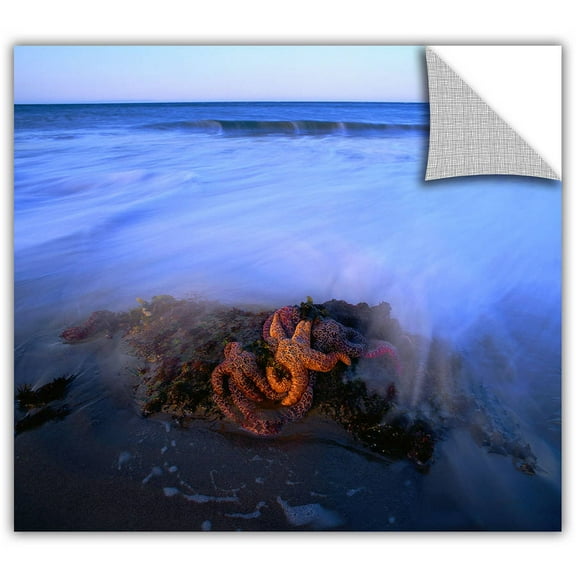 Dean Uhlinger Morning Sea Stars, Art Appeelz Removable Wall Art Graphic