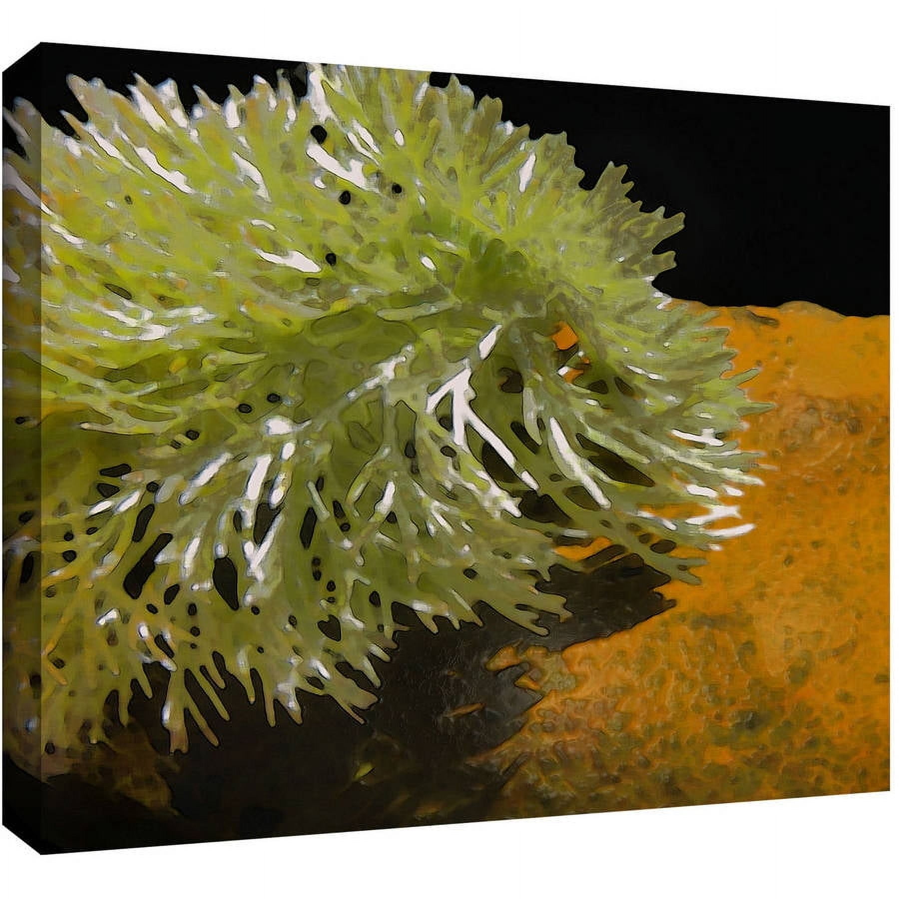 Dean Uhlinger "Natural Selection" Gallery-Wrapped Canvas