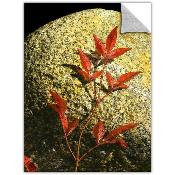 Dean Uhlinger "Natural World 15" Removable Wall Art