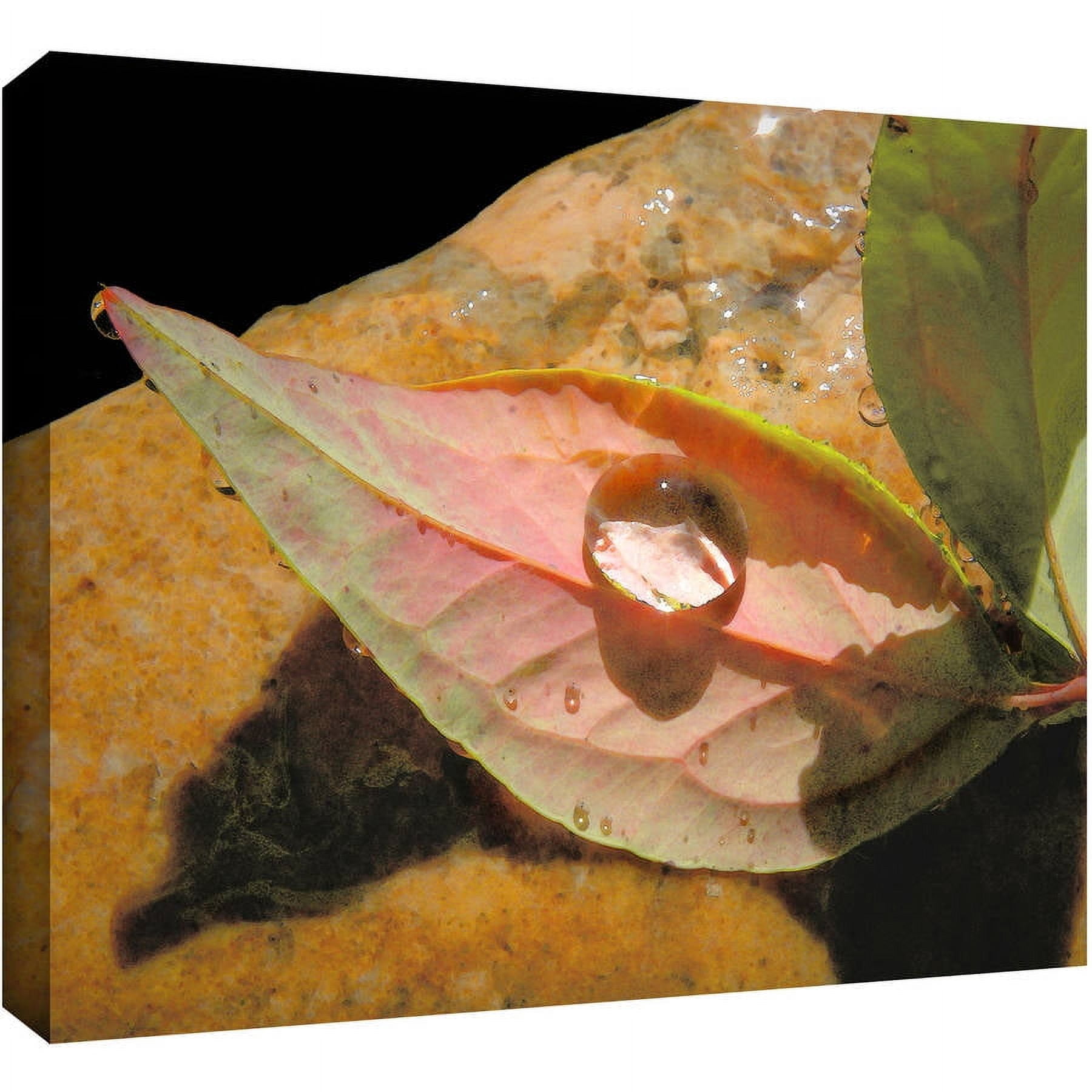 Dean Uhlinger "Natural World" Gallery-Wrapped Canvas