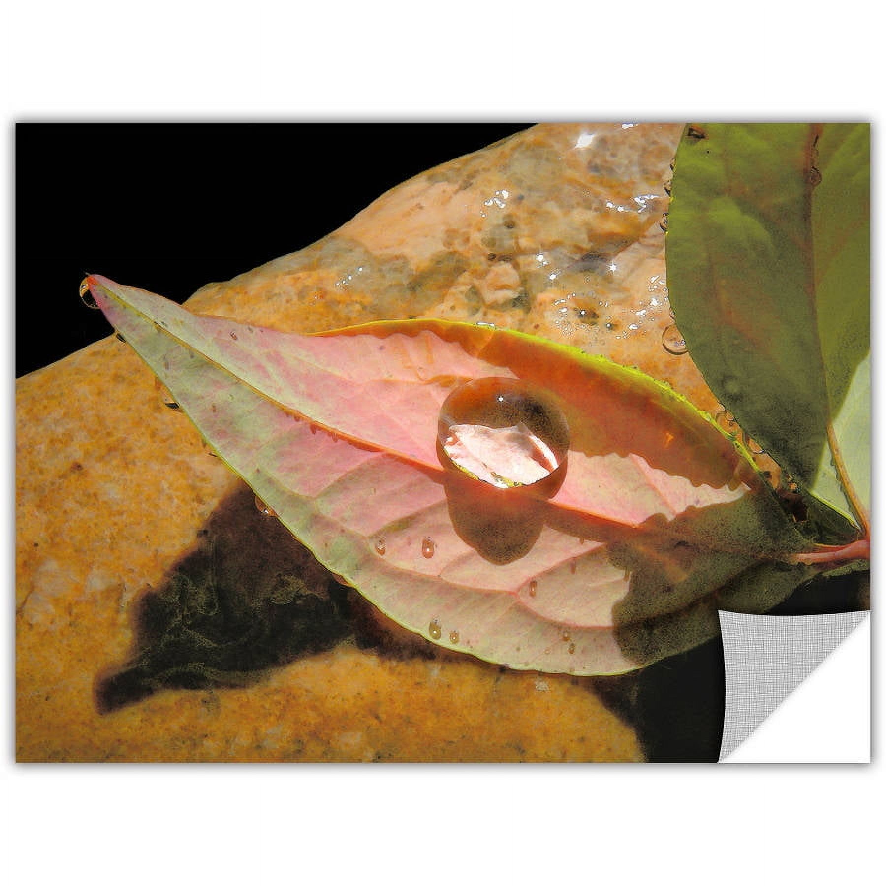 Dean Uhlinger "Natural World" Removable Wall Art