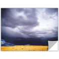 thumbnail image 1 of Dean Uhlinger "Navajo Monsoon" Removable Wall Art, 1 of 2