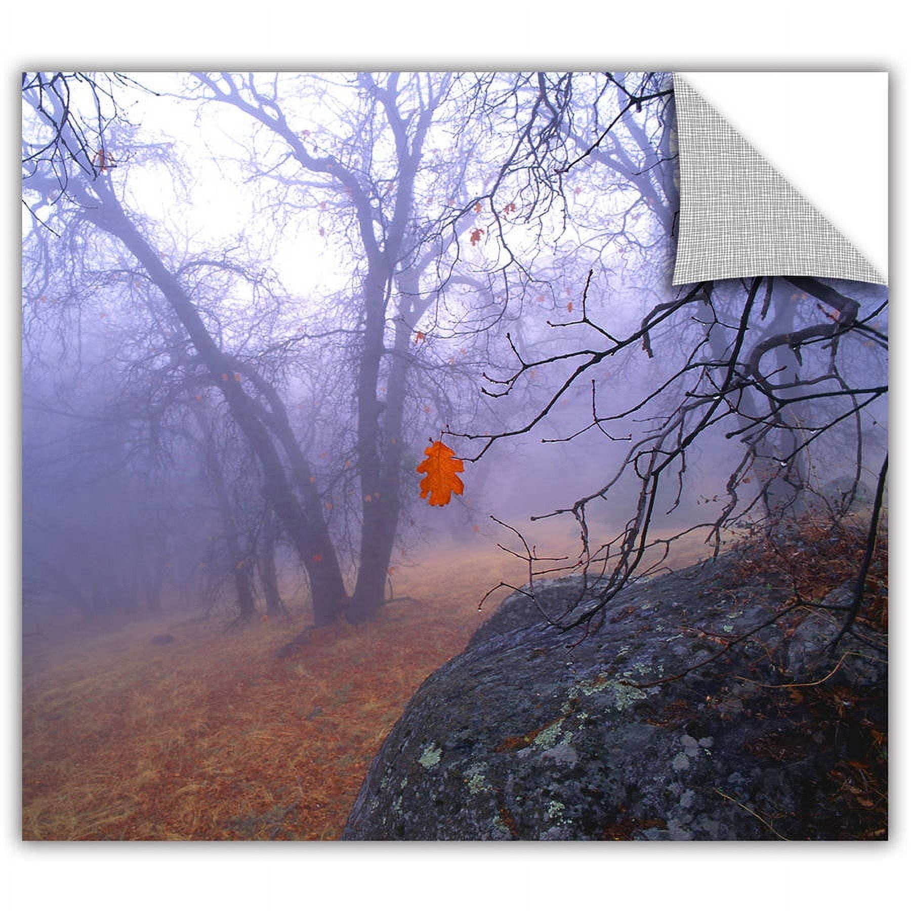Dean Uhlinger "Nearly Winter" Removable Wall Art