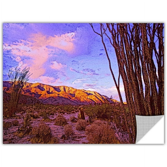 Dean Uhlinger Ocotillo Sunset, Art Appeelz Removable Wall Art Graphic