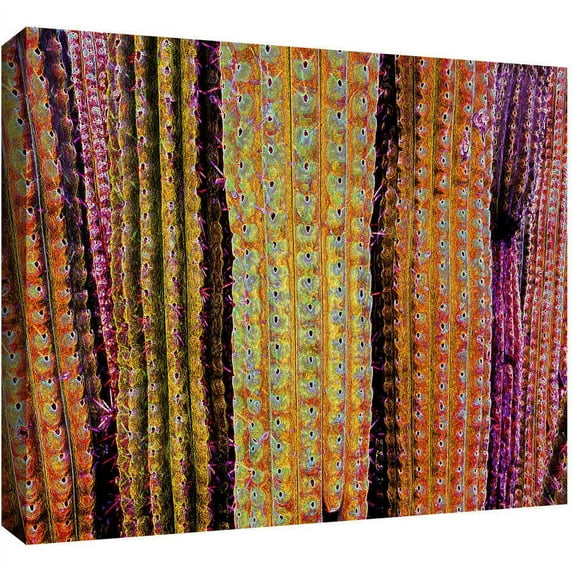 Dean Uhlinger "Organ Pipe Cacti" Gallery-Wrapped Canvas