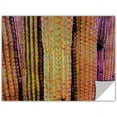 thumbnail image 1 of Dean Uhlinger "Organ Pipe Cacti" Removable Wall Art Graphic, 1 of 2