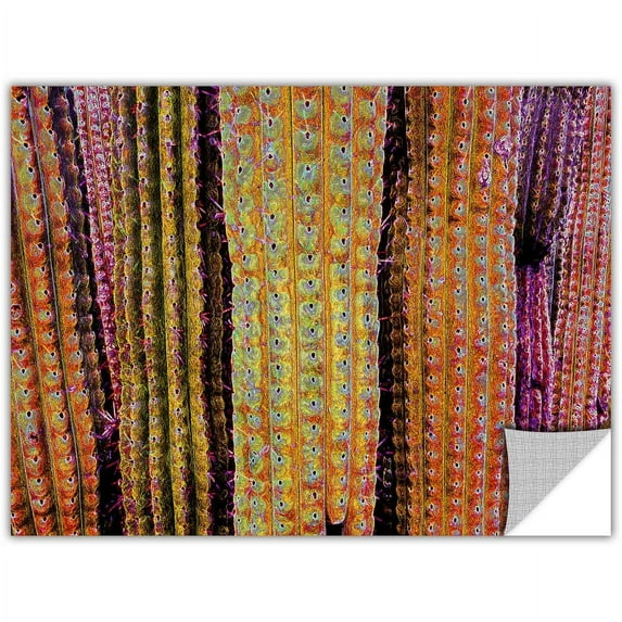 Dean Uhlinger "Organ Pipe Cacti" Removable Wall Art Graphic