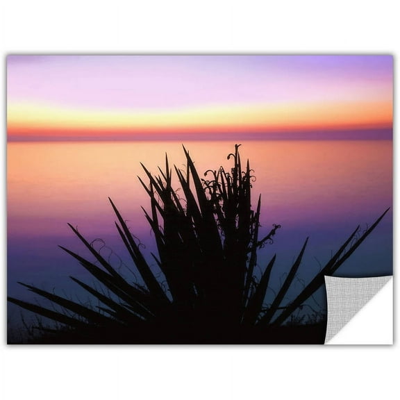 Dean Uhlinger "Pacific Cliff Yucca" Removable Graphic Wall Art