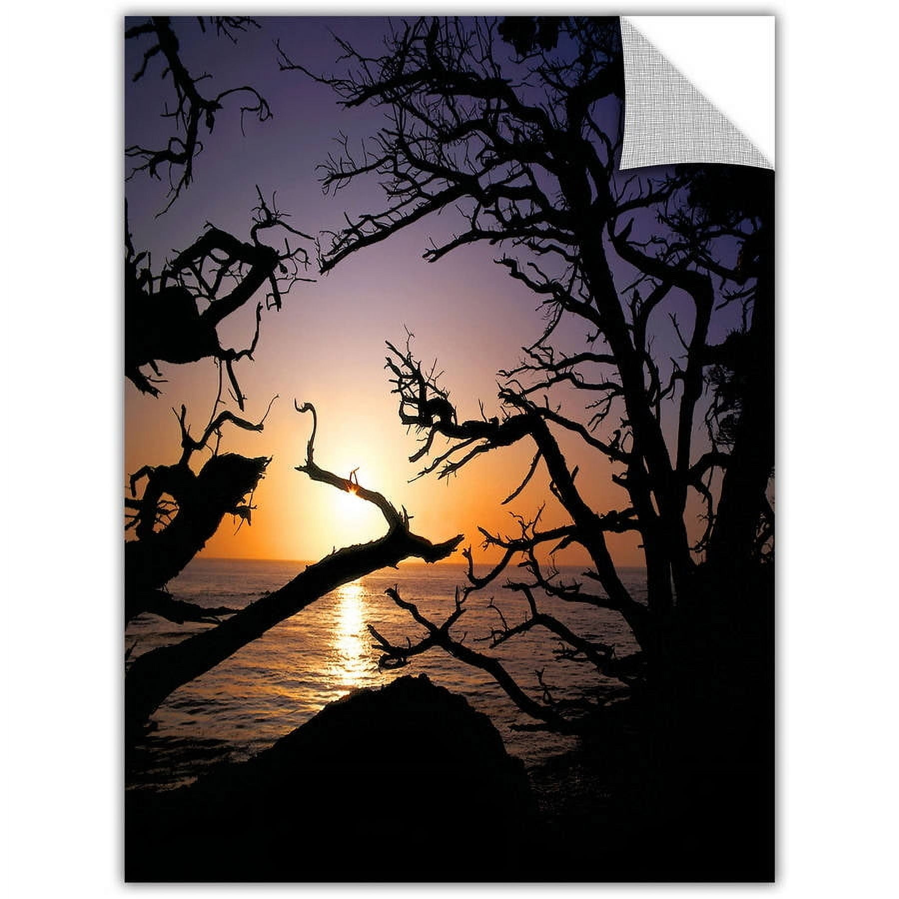 Dean Uhlinger Pacific Light, Art Appeelz Removable Wall Art Graphic