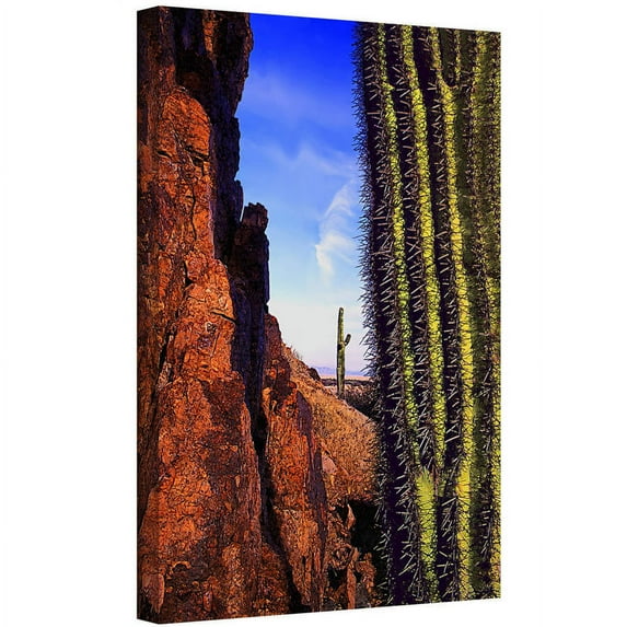 Dean Uhlinger "Painted Rocks Arizona" Gallery-Wrapped Canvas