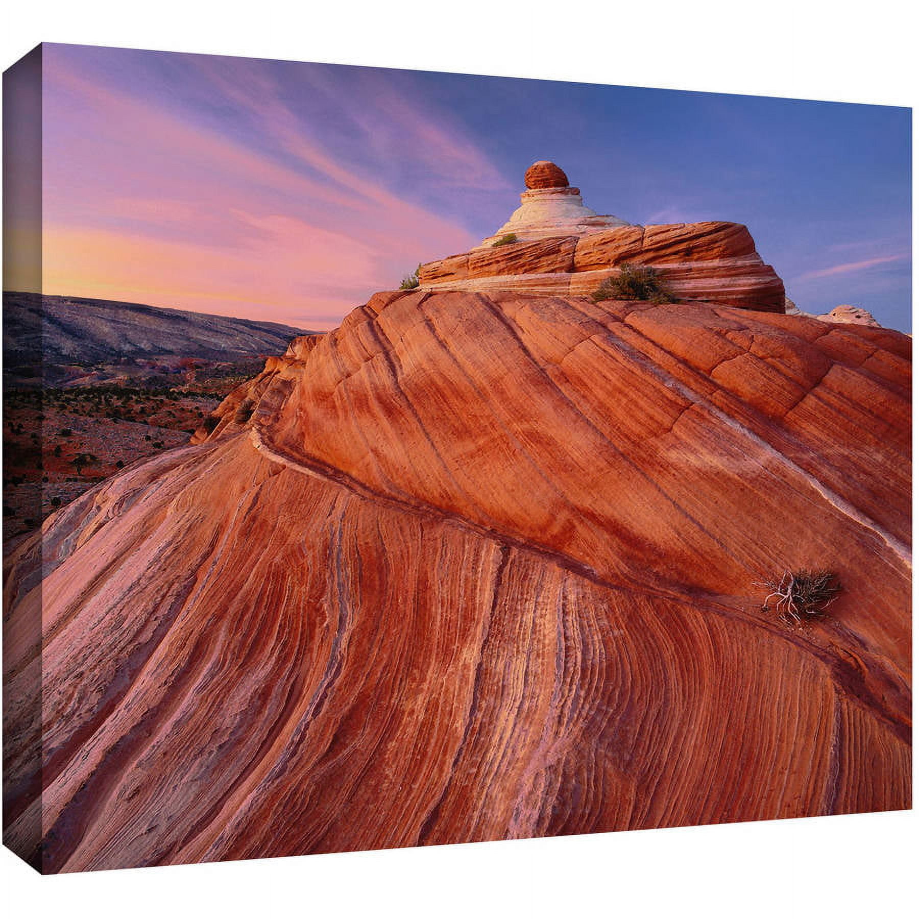 Dean Uhlinger "Paria Wilderness" Gallery-Wrapped Canvas