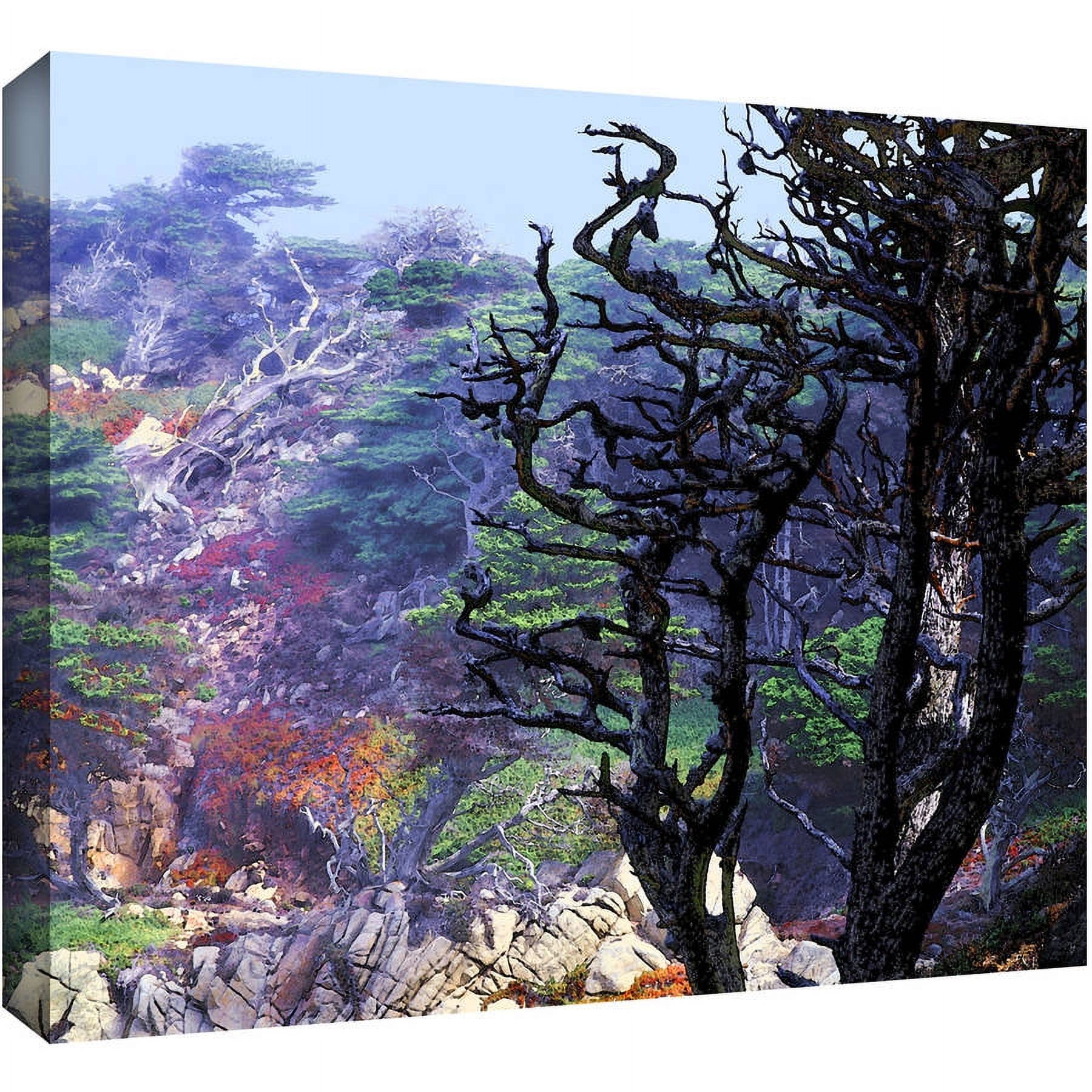 Dean Uhlinger "Point Lobos Morning" Gallery-Wrapped Canvas