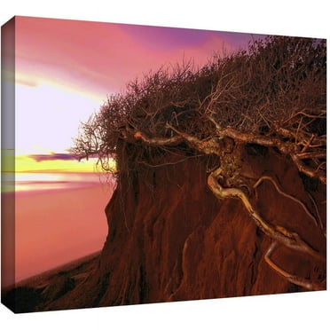 Dean Uhlinger "Ponto Beach Afterglow" Gallery-Wrapped Canvas