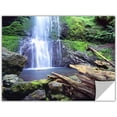 thumbnail image 1 of Dean Uhlinger "Primal Falls" Removable Wall Art, 1 of 2