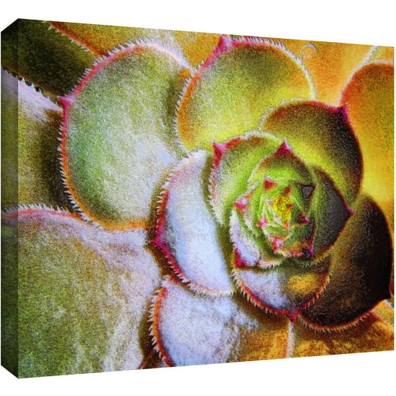 Dean Uhlinger "Punto Belleza" Gallery-Wrapped Canvas