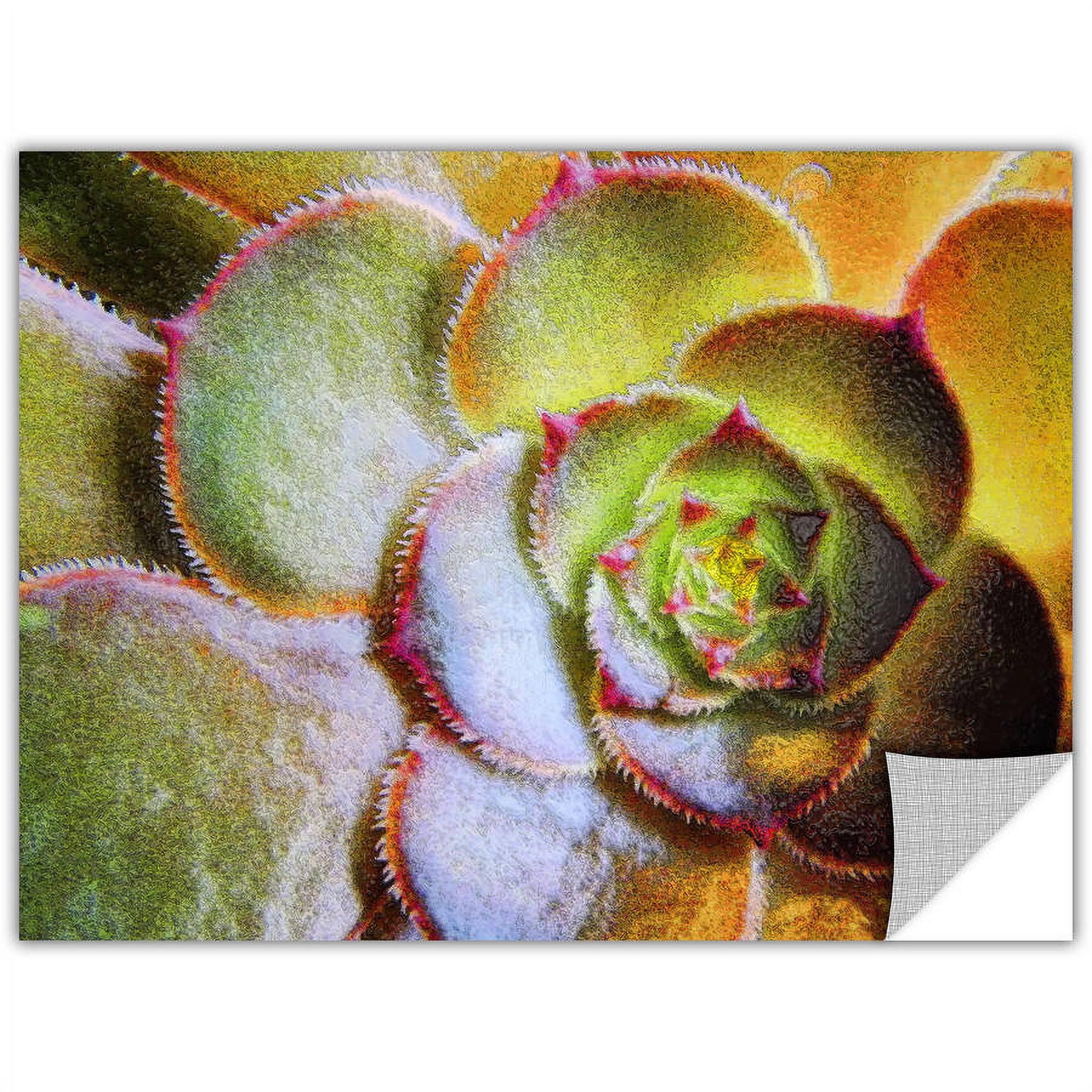Dean Uhlinger "Punto Belleza" Removable Wall Art Graphic