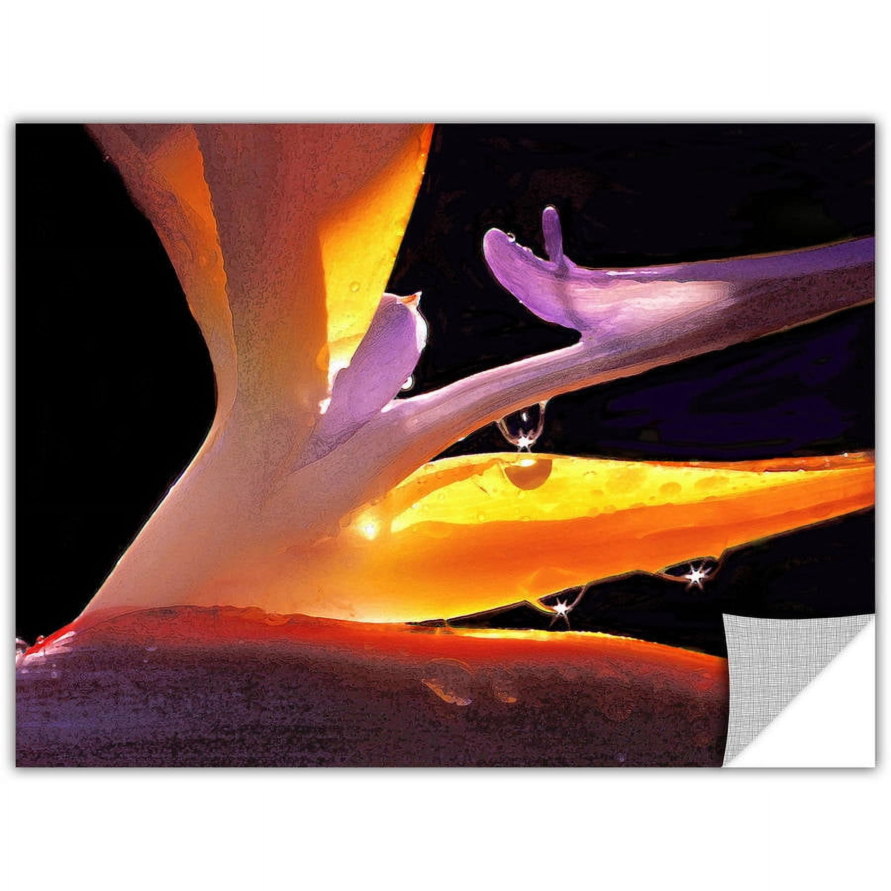 Dean Uhlinger Rain Bird, Art Appeelz Removable Wall Art Graphic