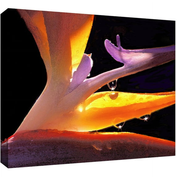 Dean Uhlinger "Rain Bird" Gallery-Wrapped Canvas