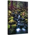 thumbnail image 1 of Dean Uhlinger "Rain Forest Morning" Gallery-Wrapped Canvas, 1 of 2