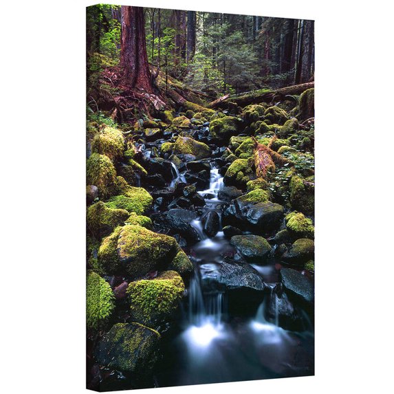 Dean Uhlinger "Rain Forest Morning" Gallery-Wrapped Canvas