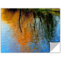 Dean Uhlinger Rogue Reflections, Art Appeelz Removable Wall Art Graphic