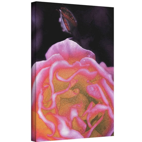 Dean Uhlinger "Rose Bud" Gallery-Wrapped Canvas