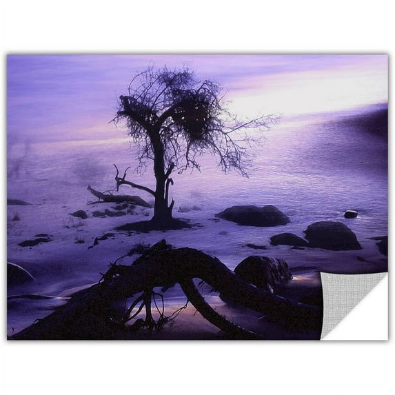 Dean Uhlinger "Sand And Snow" Removable Wall Art