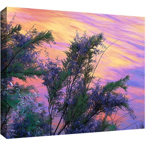 Dean Uhlinger "Sandstone Reflections" Gallery-Wrapped Canvas