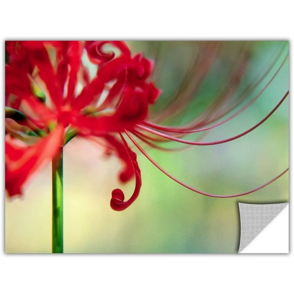 Dean Uhlinger Soft Spring, Art Appeelz Removable Wall Art Graphic