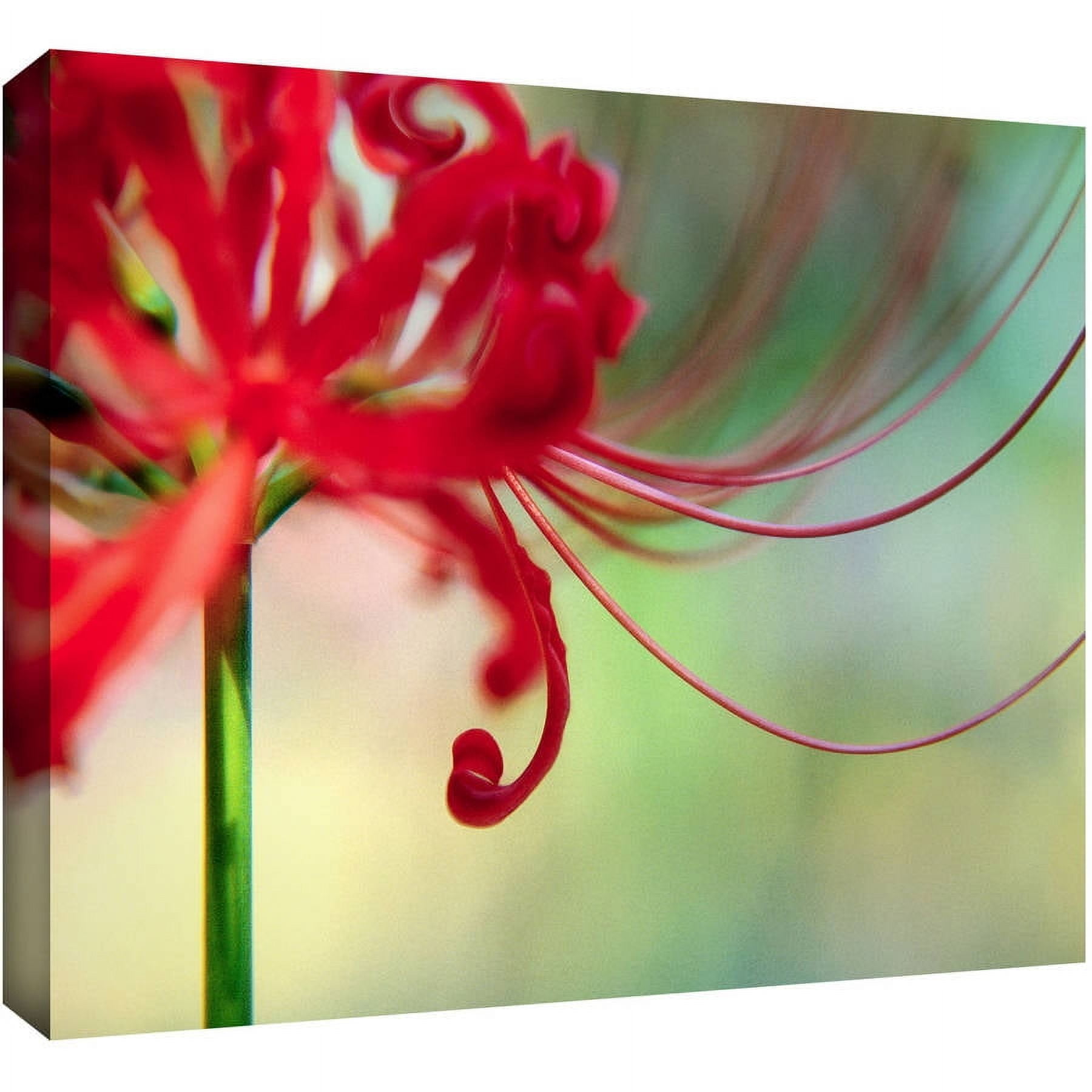 Dean Uhlinger "Soft Spring" Gallery-Wrapped Canvas