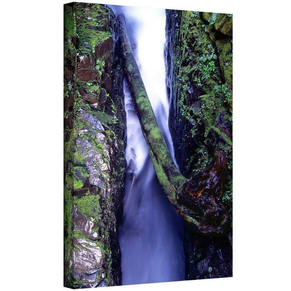Dean Uhlinger "Sol Duc River Slot" Gallery-Wrapped Canvas