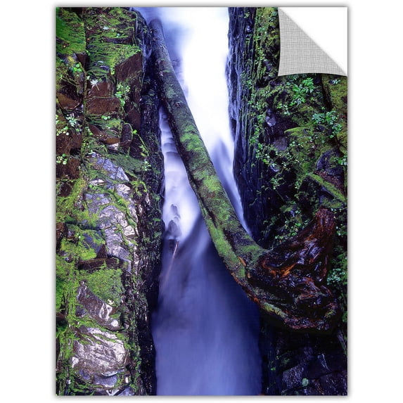 Dean Uhlinger "Sol Duc River Slot" Removable Wall Art