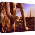 thumbnail image 1 of Dean Uhlinger "Sonoran Heat" Gallery-Wrapped Canvas, 1 of 2
