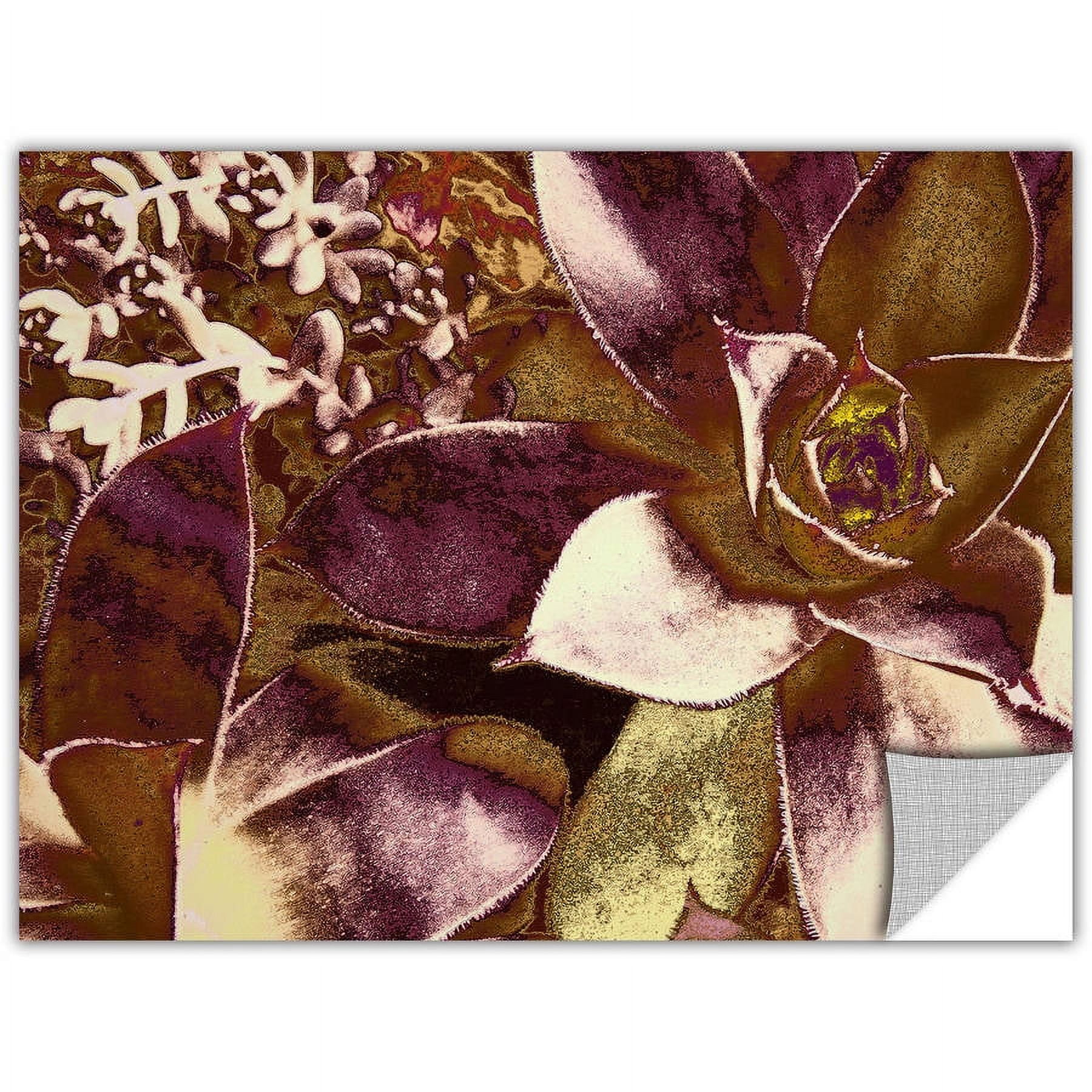 Dean Uhlinger "Succulent Study" Removable Wall Art Graphic