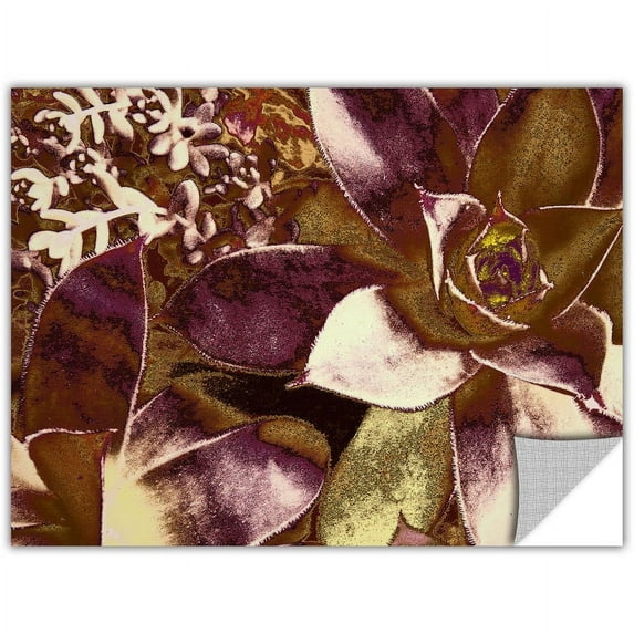 Dean Uhlinger "Succulent Study" Removable Wall Art Graphic