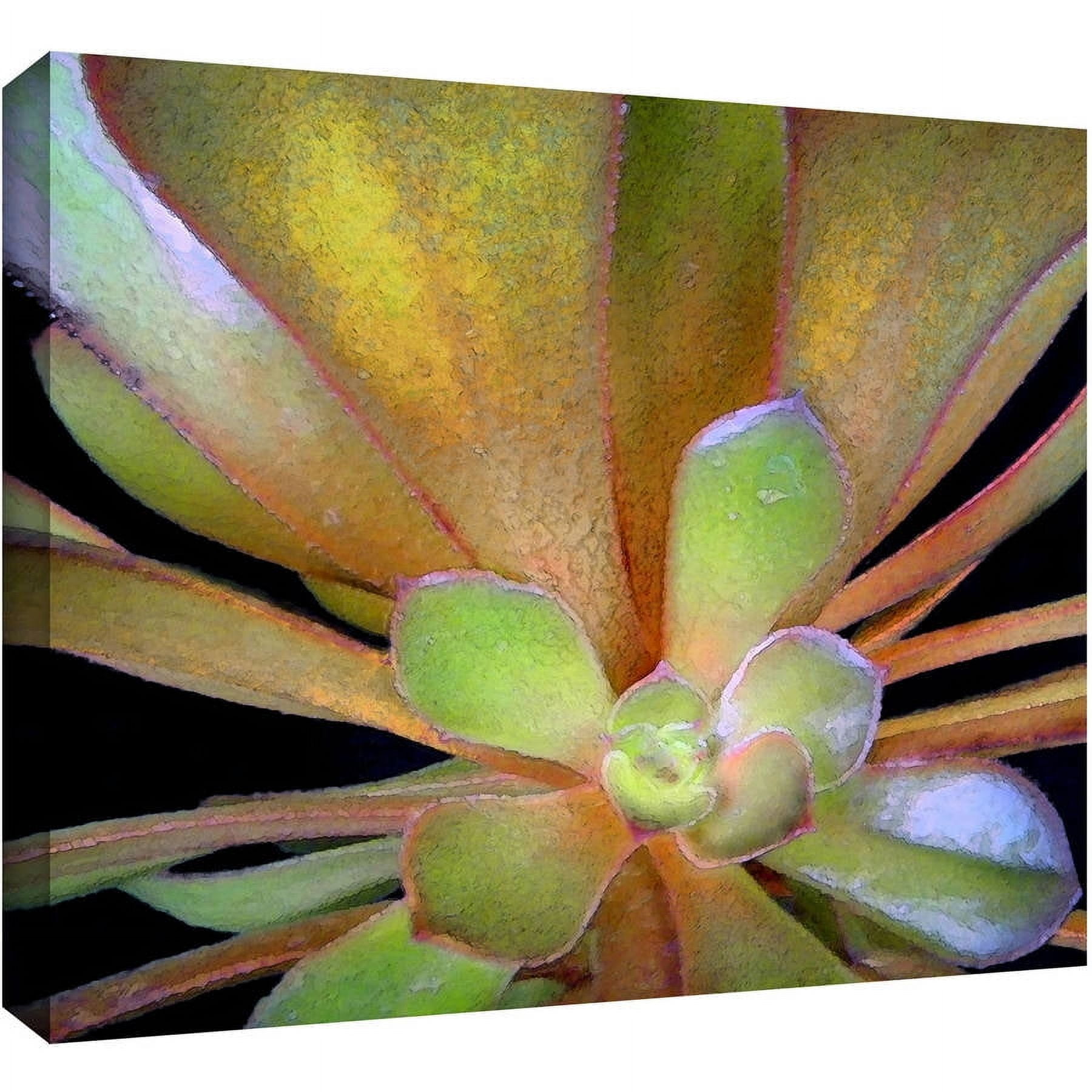 Dean Uhlinger "Suculentos Estudio" Gallery-Wrapped Canvas