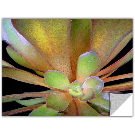 Dean Uhlinger "Suculentos Estudio" Removable Wall Art