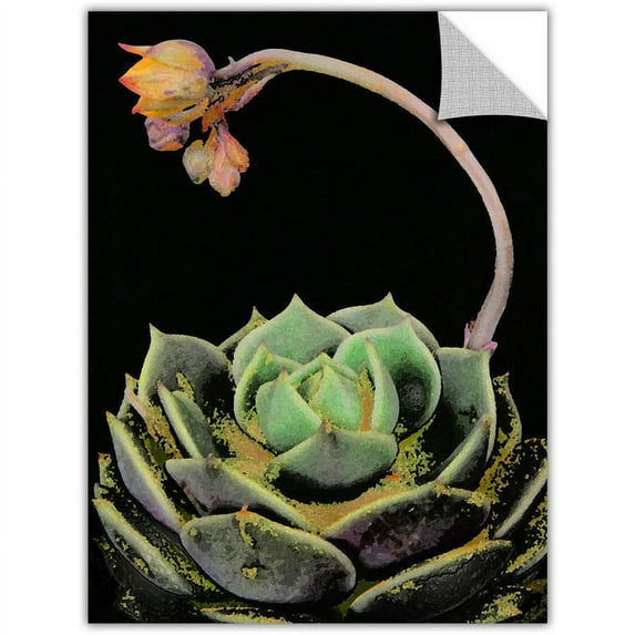 Dean Uhlinger "Suculentos Flor" Removable Wall Art