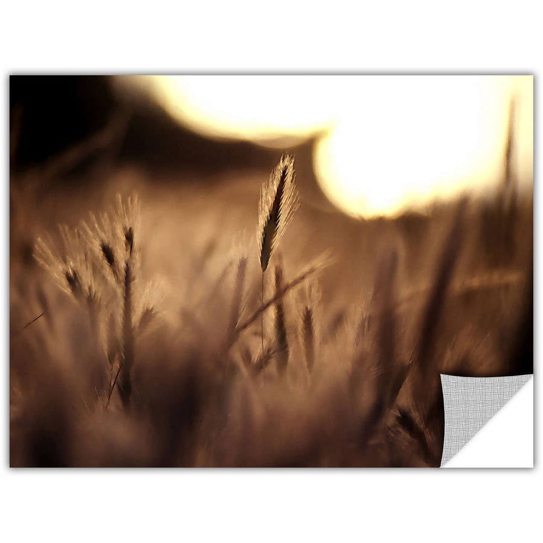 Dean Uhlinger "Summer Field" Removable Wall Art Graphic