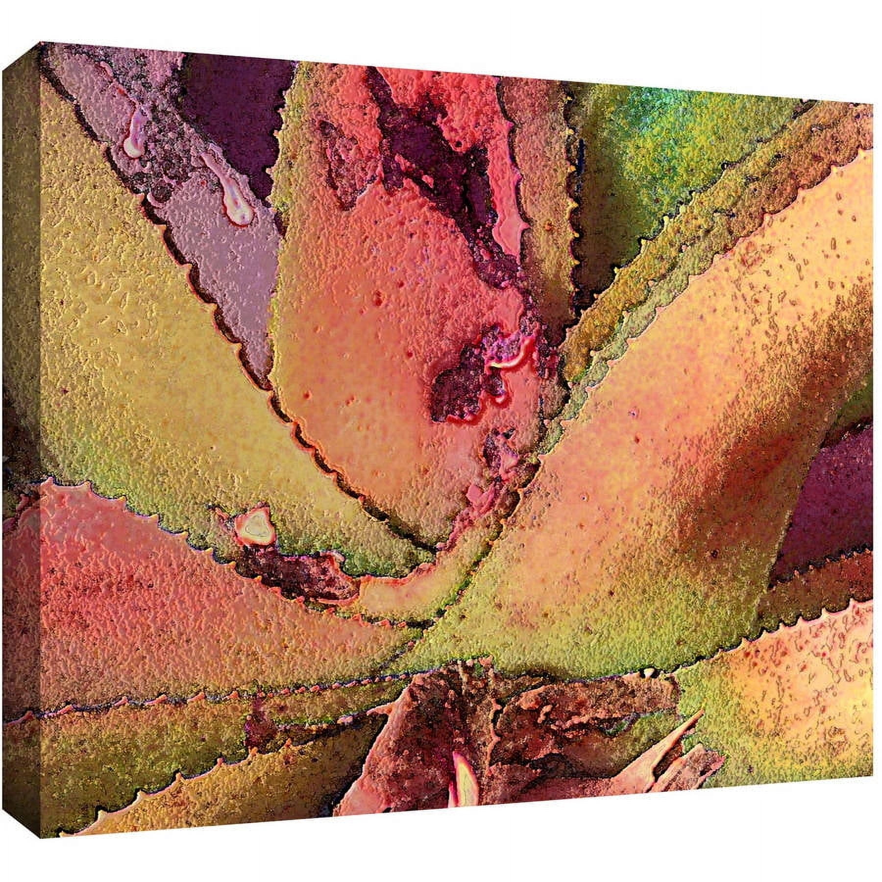 Dean Uhlinger "Texturas Suculentas" Gallery-Wrapped Canvas