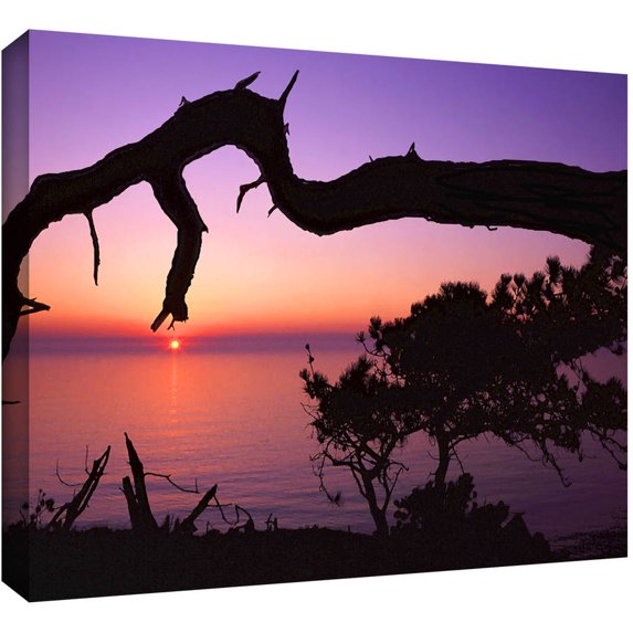 Dean Uhlinger "Torrey Bridge" Gallery-Wrapped Canvas