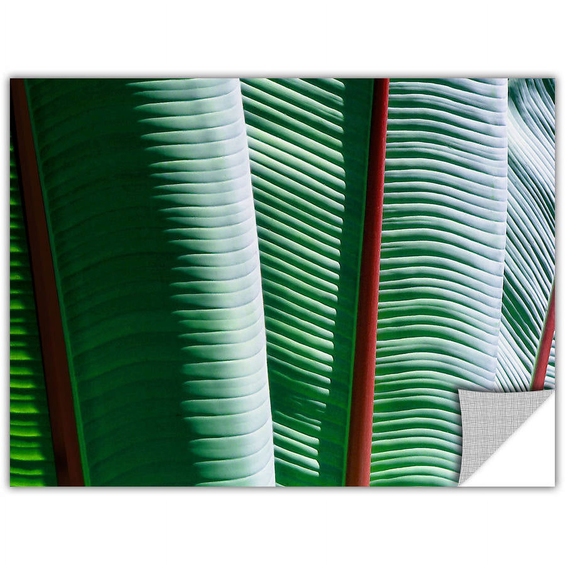 Dean Uhlinger Tropicality, Art Appeelz Removable Wall Art Graphic