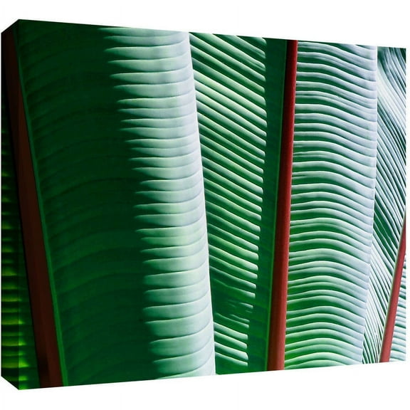 Dean Uhlinger "Tropicality" Gallery-Wrapped Canvas