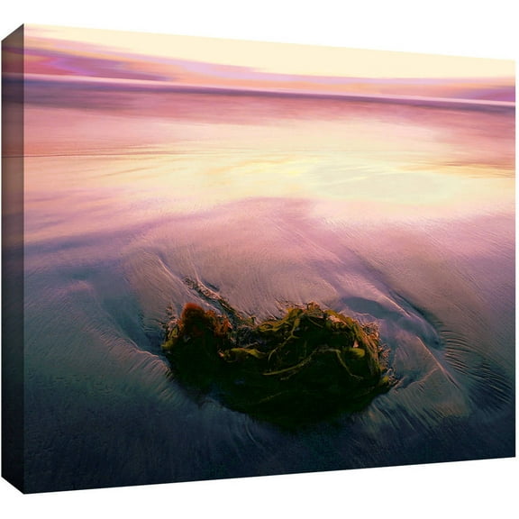 Dean Uhlinger "Twilight Kelp" Gallery-Wrapped Canvas