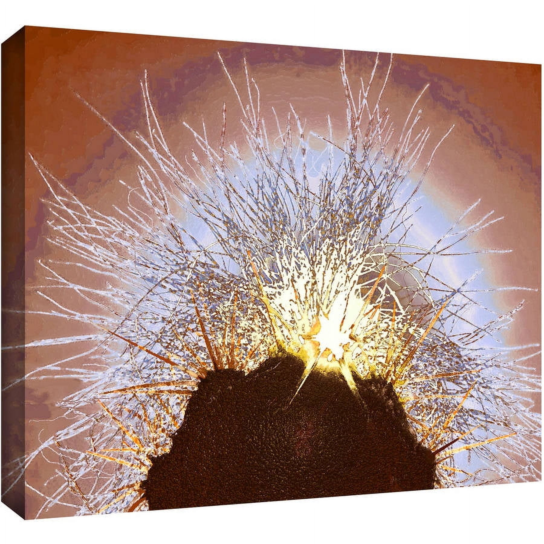 Dean Uhlinger "Velludo Cacto" Gallery-Wrapped Canvas