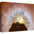thumbnail image 1 of Dean Uhlinger "Velludo Cacto" Gallery-Wrapped Canvas, 1 of 2