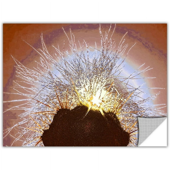 Dean Uhlinger "Velludo Cacto" Removable Wall Art