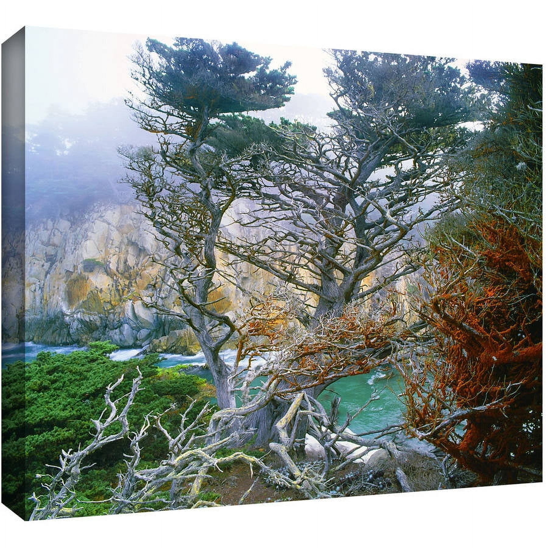 Dean Uhlinger "Whalers Cove Morning Point Lobos" Gallery-Wrapped Canvas